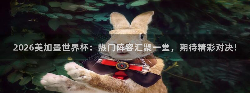 2026美加墨世界杯：热门阵容汇聚一堂，期待精彩对决!