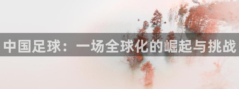中国足球：一场全球化的崛起与挑战