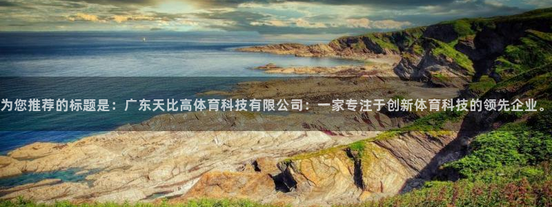 为您推荐的标题是：广东天比高体育科技有限公司：一家专注于创新体育科技的领先企业。