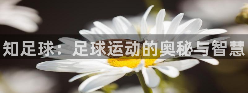 知足球：足球运动的奥秘与智慧