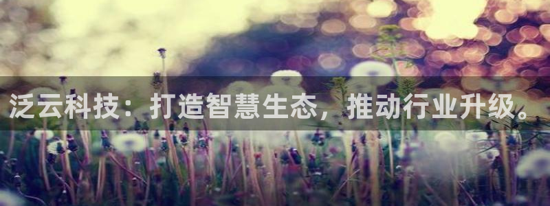 泛云科技：打造智慧生态，推动行业升级。